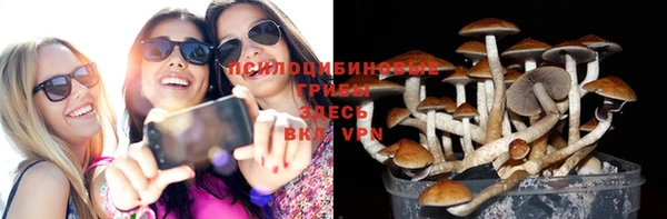 apvp Липки