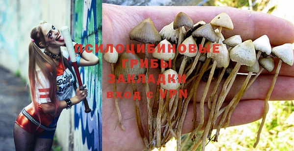 эйфоретик Мегион