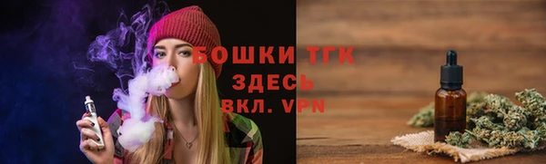 дмт Лагань