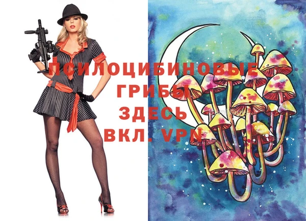гашик Лабытнанги