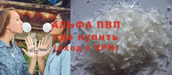 ПСИЛОЦИБИНОВЫЕ ГРИБЫ Магас